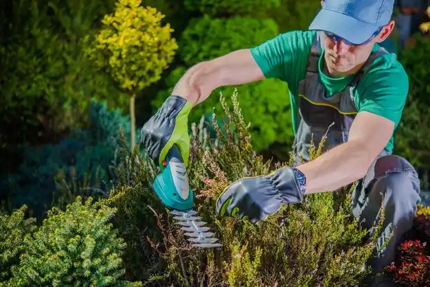 landscaping services Humboldt